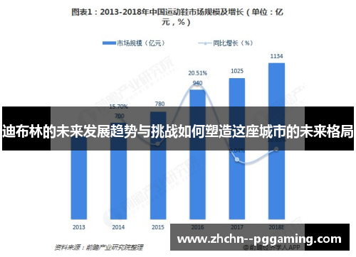 迪布林的未来发展趋势与挑战如何塑造这座城市的未来格局 迪布林的未来发展趋势与挑战如何塑造这座城市的未来格局
