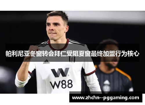 帕利尼亚冬窗转会拜仁受阻夏窗最终加盟行为核心
